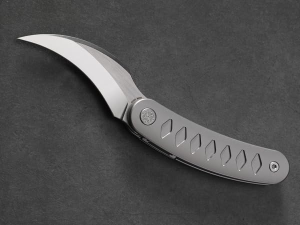 Knife Kage C03 Folding Knife,2.52" M390 Stonewashed Mirror Blade Pikal Knife,3.39" 6AL4V Titanium Handle Pocket Knife,2.61oz Lightweight Outdoor EDC Knife (Silver)