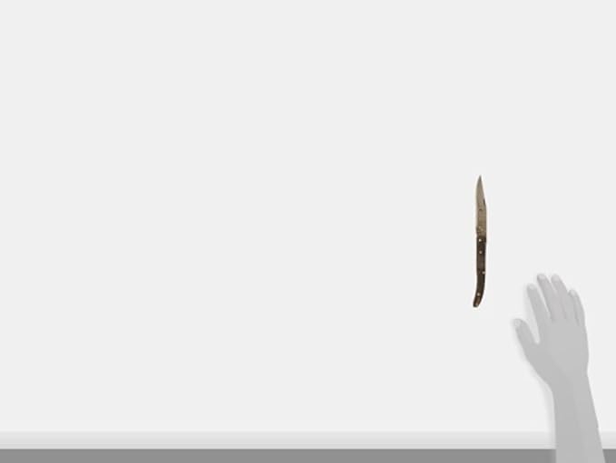 Damascus Laguiole Folder Horn