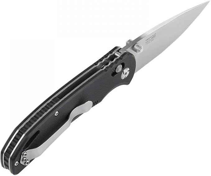 Ganzo G7531 Folding Pocket Knife 440C Stainless Steel Blade G10 Anti-Slip Handle with Clip Hunting Fishing Camping Folder Outdoor EDC Knife (Black)