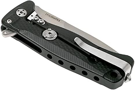 Lion Steel SR22A Sleipner Frame Lock Folding Pocket Knife - Machined Aluminum Handle, IKBS Ball Bearing System, Dual Carry Clip (Black Handle, Satin Blade)