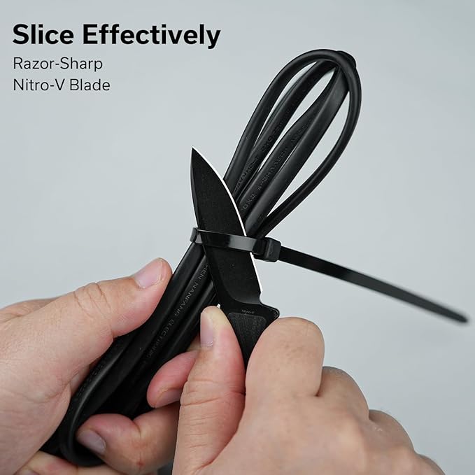 CIVIVI Mini Elementum Fixed Blade Knife with a Kydex Sheath and a Chain for EDC Neck Carry, Small Skeletonized Full Tang Knife with 2.24" Nitro-V Blade G10 Handle C23010-1