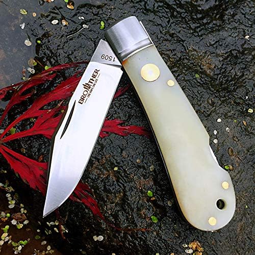 Watchman 1509N VG10 Blade Knife bone Grips Back Lock Pocket Knife …
