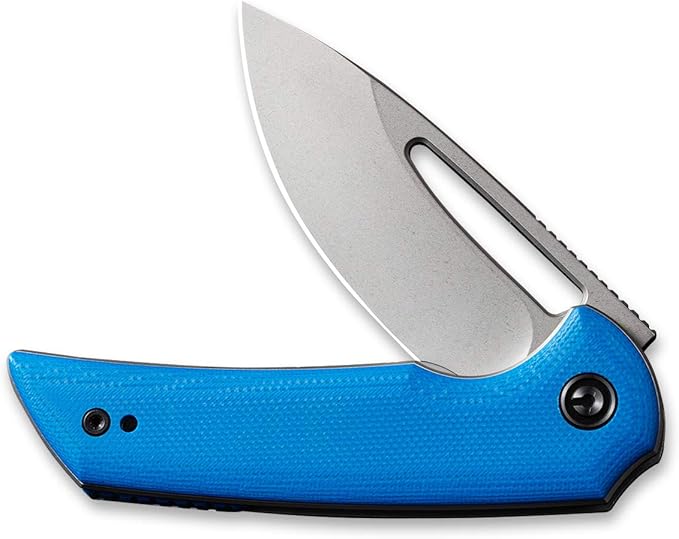CIVIVI Odium Small Folding Knife –2.65" Stonewashed D2 blade, G10 Handle, Ball Bearings Pivot, Flipper Opening Knife with Reversible Deep Carry Clip C2010C (Blue)
