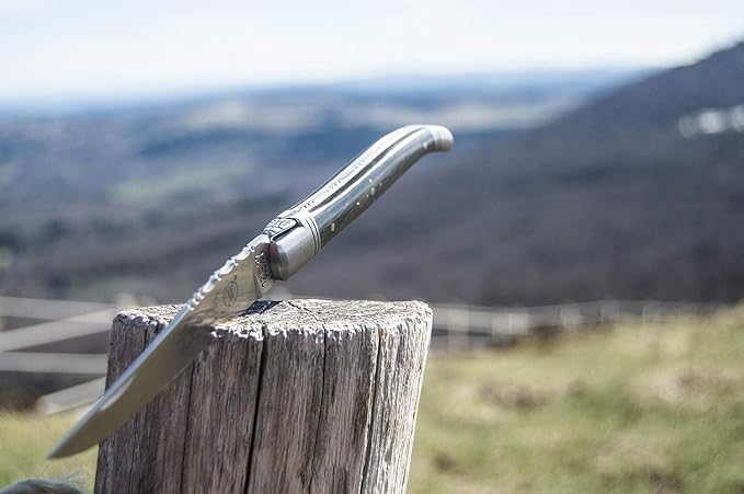 Laguiole PRESTIGE folding pocket knife 12 cm, Ebony Wood Handle, Made In France