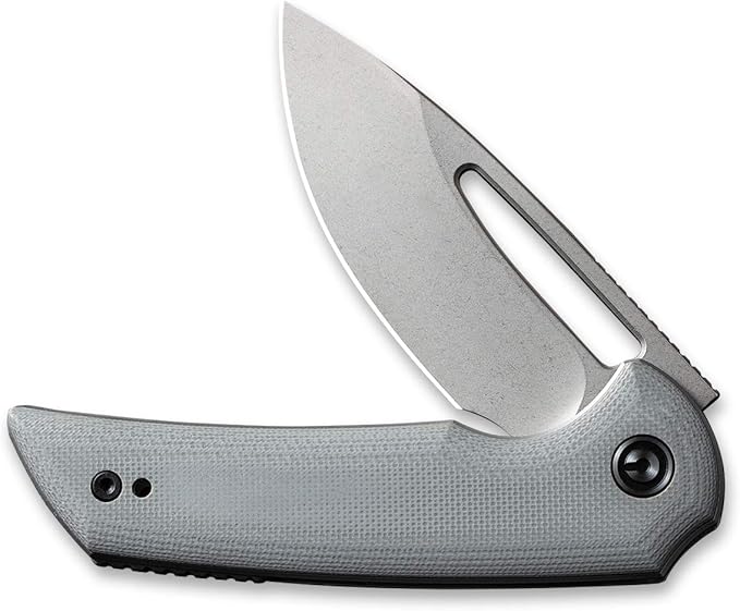 CIVIVI Odium Small Folding Knife –2.65" Stonewashed D2 blade, G10 Handle, Ball Bearings Pivot, Flipper Opening Knife with Reversible Deep Carry Clip C2010A (Gray)