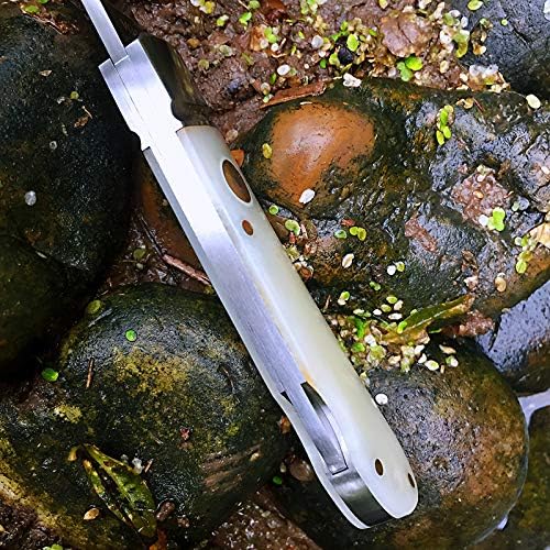 Watchman 1509N VG10 Blade Knife bone Grips Back Lock Pocket Knife …