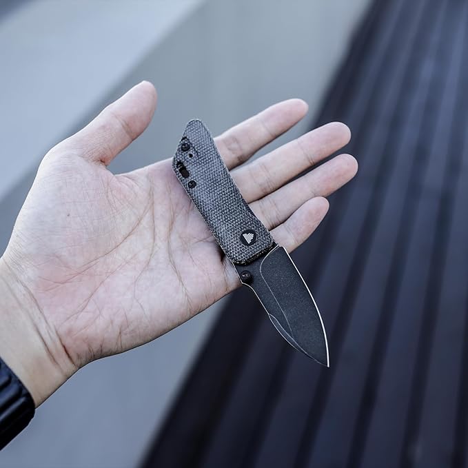 Pocket Knife for EDC,2.32in Black Stonewashed 14C28N Stainless Steel Blade,Black Micarta Handle,Thumb Studs Folding Knives with Reversible Deep Carry Clip for Men,Bootes-04B