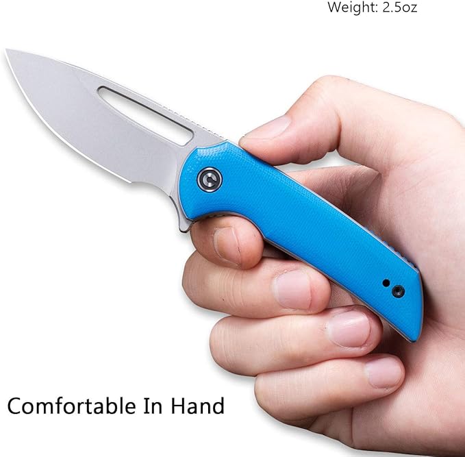 CIVIVI Odium Small Folding Knife –2.65" Stonewashed D2 blade, G10 Handle, Ball Bearings Pivot, Flipper Opening Knife with Reversible Deep Carry Clip C2010C (Blue)