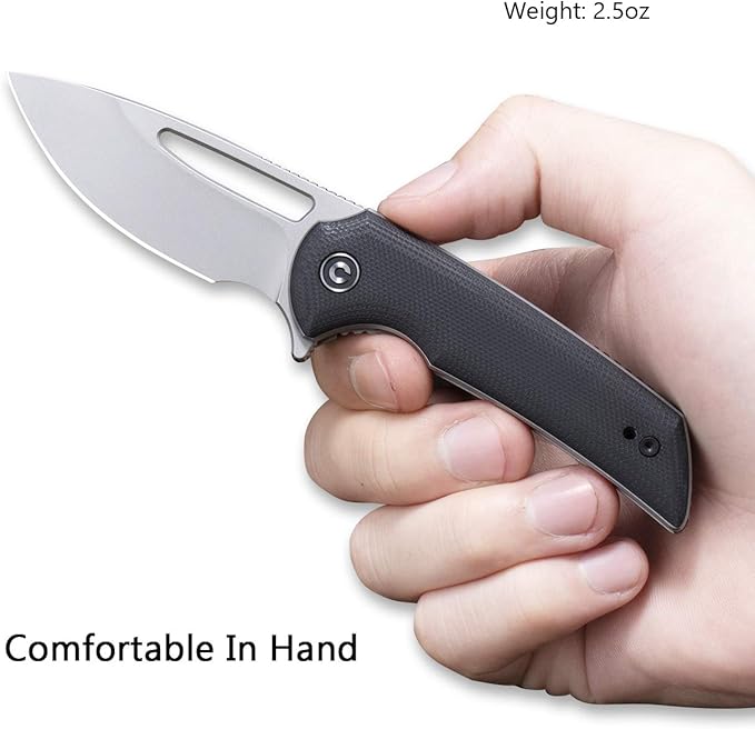 CIVIVI Odium Small Folding Knife –2.65" Black Stonewashed D2 blade, G10 Handle, Ball Bearings Pivot, Flipper Opening Knife with Reversible Deep Carry Clip C2010D (Black)