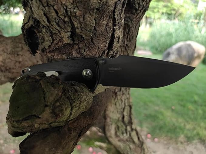 Relicanth Pocket Knife Black 3.2" Titanium Coating D2 Blade G10 Handle Liner Lock Folding Knife with Pocket Clip Qualified as Outdoor Hunting Knife