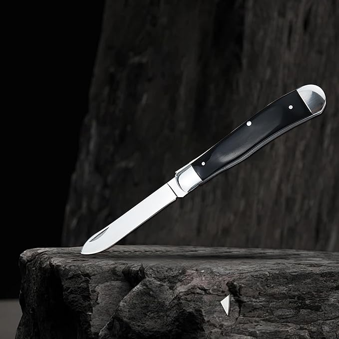 ALBATROSS Traditional Stainless steel Folding Pocket Knives with 2 Blades, FK060 (Black)