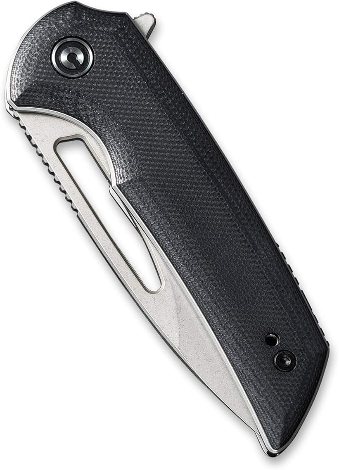 CIVIVI Odium Small Folding Knife –2.65" Black Stonewashed D2 blade, G10 Handle, Ball Bearings Pivot, Flipper Opening Knife with Reversible Deep Carry Clip C2010D (Black)