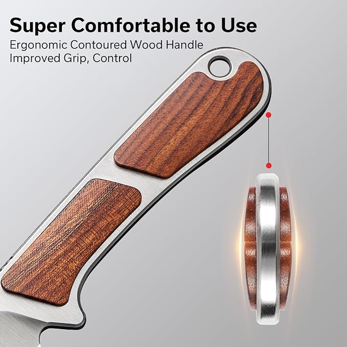 CIVIVI Mini Elementum Fixed Blade Knife with a Kydex Sheath and a Chain for EDC Neck Carry, Small Skeletonized Full Tang Knife with 2.24" Nitro-V Blade Wood Handle C23010-4