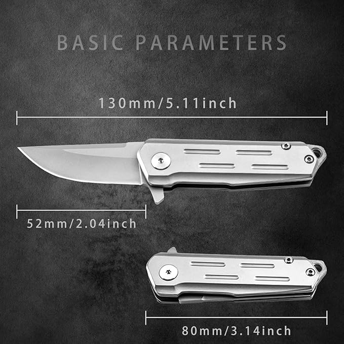 Compact Small Pocket Knife (ZH13), 2.04 Inch D2 Stainless Steel Blade with Sandblasting Technique. EDC Knife with Ball Bearings, Liner Lock, and Lanyard Hole. 3.17 oz, Silver.