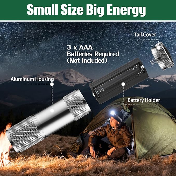 VIHOSE 32 Pcs Mini Flashlights Bulk, Bright Aluminum Handheld Flash Light with Lanyard, Small LED Flashlights for Kids Night Reading Emergency Hurricane Camping Hiking Party Favors(Gray)