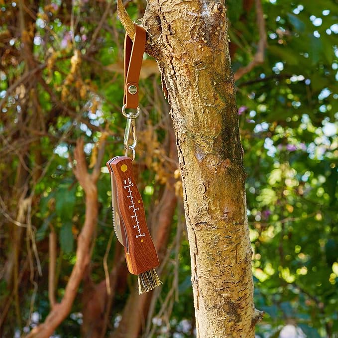 Professional Folding Mushroom Knife with Brush + Removable Leather Strap Wood Handle Foraging Knife for Fungus Truffles Handy Pocket Knife (Small)