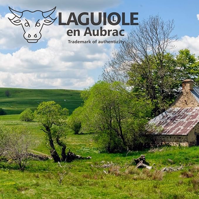 Laguiole en Aubrac Handmade Knife 12 cm Corkscrew L0612PCLF, Full Horn tip Handle, Blade Stainless Steel Shiny
