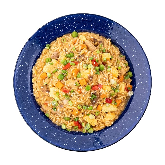 Mountain House Rice & Chicken + Chicken Fried Rice | Freeze Dried Backpacking & Camping Food Bundles | 2 Servings Each