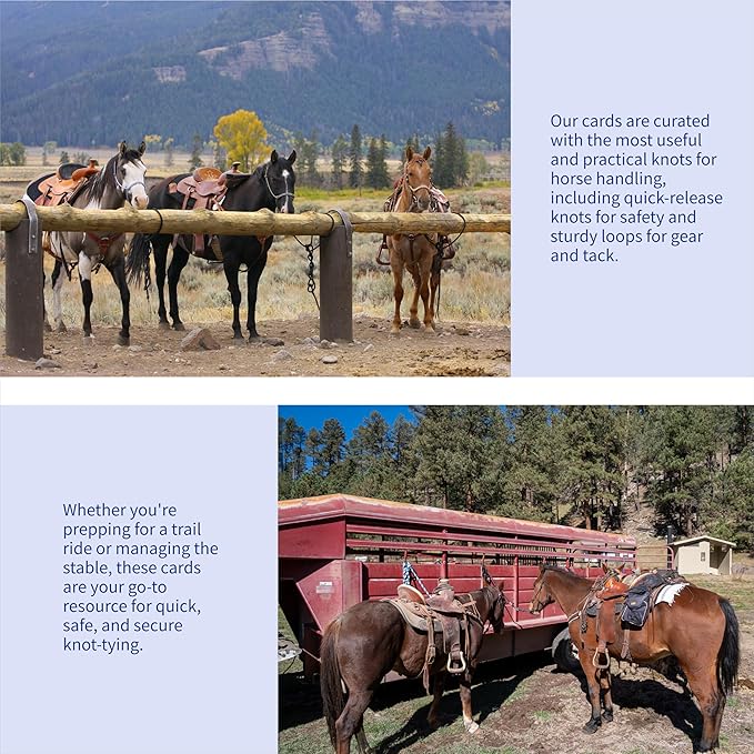 Harrison Howard Wisdom4Sure Comprehensive Knot Card Collection Horse, Outdoor, and Climbing Knots Card Set Waterproof Knot Tying Cards Ultimate Knot Guides