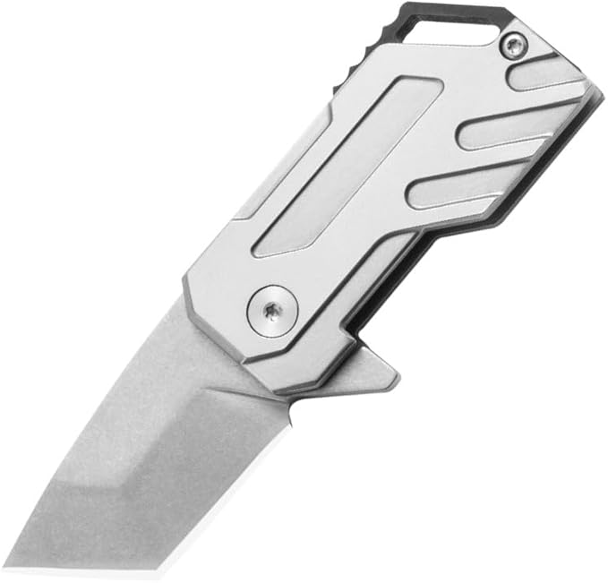 Mini Flipper Pocket Knife (TK22), 1.57 Inch D2 Stainless Steel Blade with Stone Washed Technique, Everyday Utility Knife with G10 Lanyard Hole, 3.24 oz, Silver.