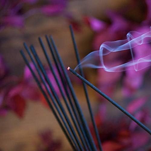 Hem Incense Sticks | 6 Boxes X 20 Sticks Each |Lavender,White Sage, Frankincense,Dragon Blood, Palo Santo & Sandalwood| - Total 120 Sticks