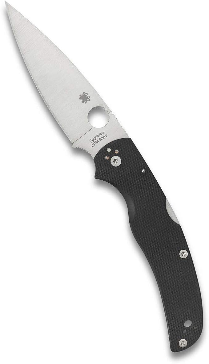 Spyderco Native Chief Knife - Black G-10 Handle with PlainEdge, Full-Flat Grind, CPM S30V Steel Blade and Back Lock - C244GP