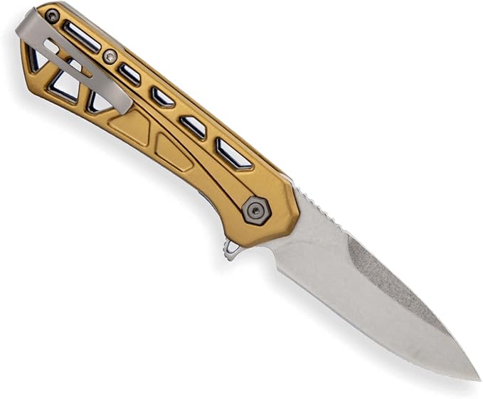 Buck Knives Mini Trace Pocket Knife, Bronze