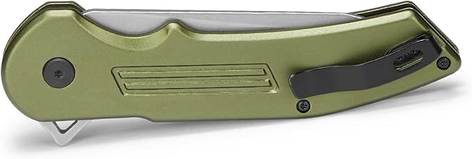 Buck Knives 262 Hexam Assist, Spring-Assist Folding Pocket Knife, 3.35" Stainless Steel Blade, Pocket Clip (Green)