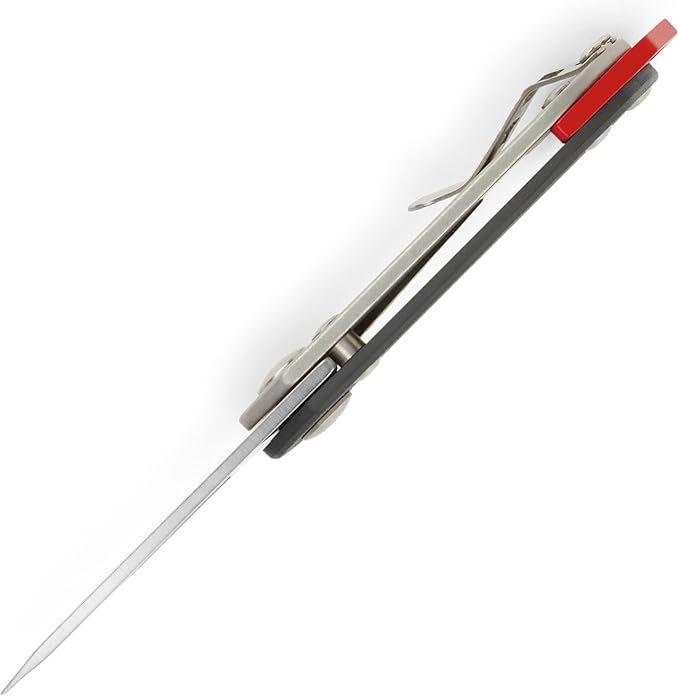 Buck Knives 417 Budgie Folding Pocket Knife with Clip, Lanyard Hole, 2" S35VN Stainless Steel Blade (Black)