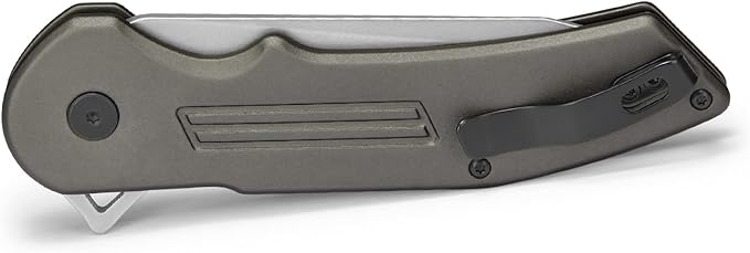Buck Knives 262 Hexam Assist, Spring-Assist Folding Pocket Knife, 3.35" Stainless Steel Blade, Pocket Clip (Gray)