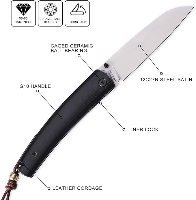 Petrified fish PF719 Folding Knife,3.34" 12C27N Steel Blade, G10 Handle Thumb Stud Liner lock Pocket knife (Satin Blade with G10 Handle)