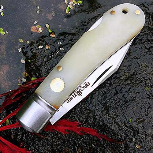 Watchman 1509N VG10 Blade Knife bone Grips Back Lock Pocket Knife …