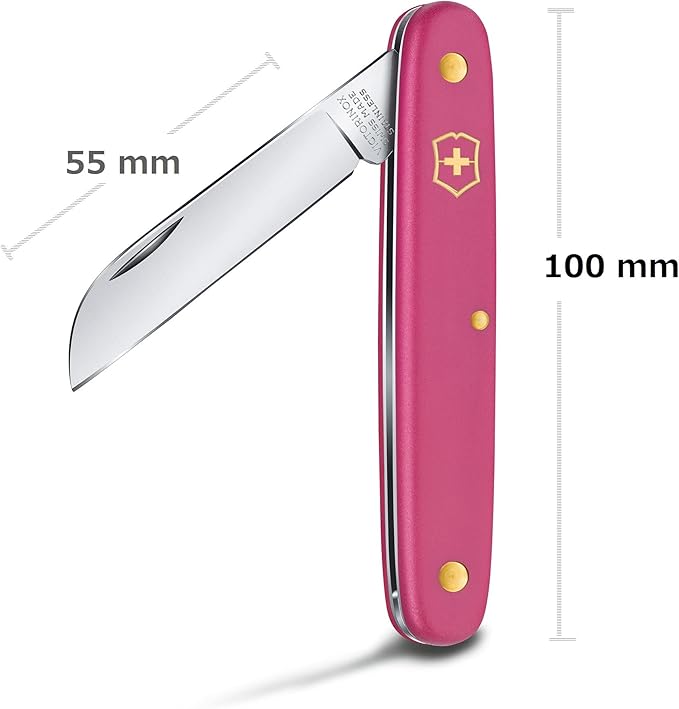 Blumenmesser, gerade Klinge, 55 mm, pink, Blister