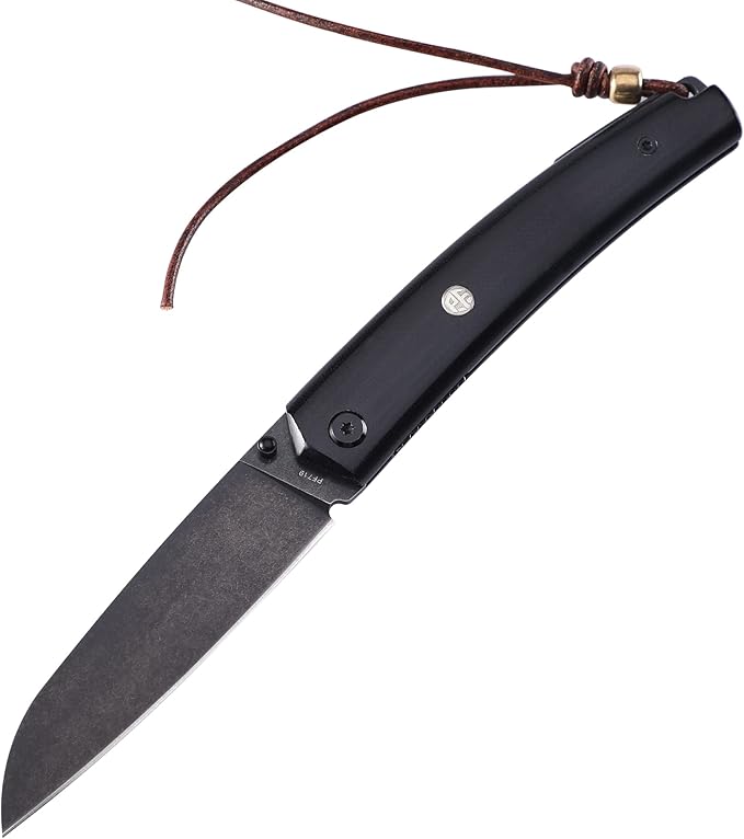 Petrified fish PF719 Folding Knife,3.34" 12C27N Steel Blade, G10 Handle Thumb Stud Liner lock Pocket knife (Black Stonewashed with G10 Handle)