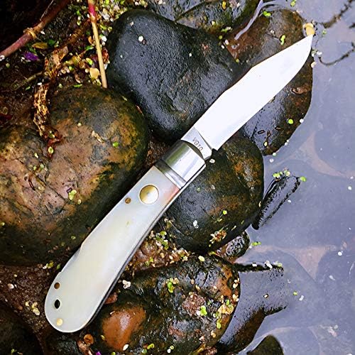 Watchman 1509N VG10 Blade Knife bone Grips Back Lock Pocket Knife …