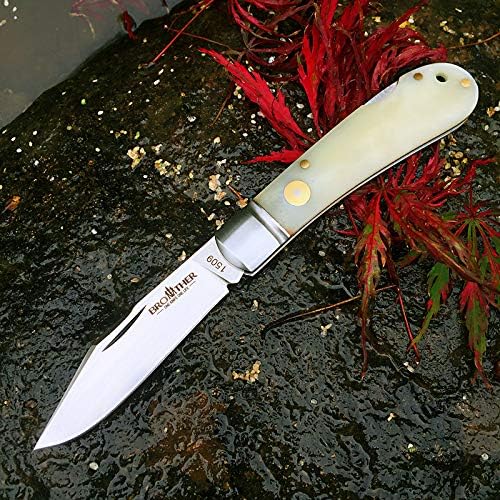Watchman 1509N VG10 Blade Knife bone Grips Back Lock Pocket Knife …