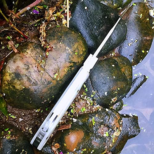 Watchman 1509N VG10 Blade Knife bone Grips Back Lock Pocket Knife …