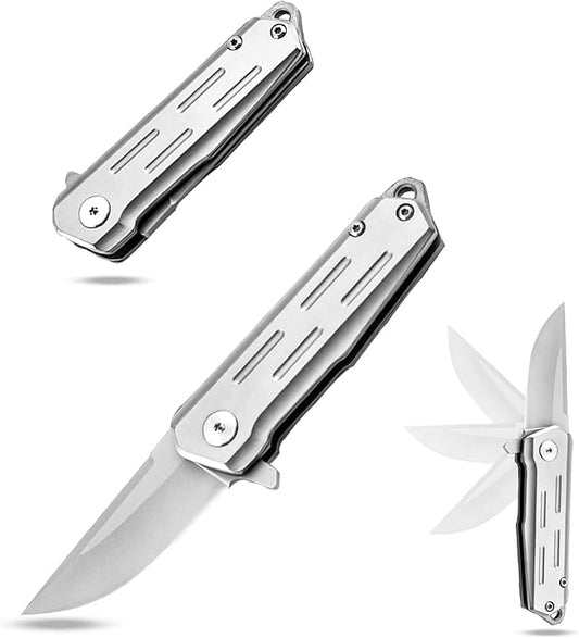 Compact Small Pocket Knife (ZH13), 2.04 Inch D2 Stainless Steel Blade with Sandblasting Technique. EDC Knife with Ball Bearings, Liner Lock, and Lanyard Hole. 3.17 oz, Silver.