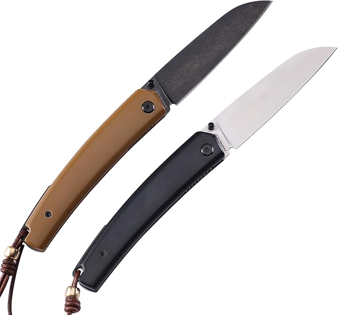 Petrified fish PF719 Folding Knife,3.34" 12C27N Steel Blade, G10 Handle Thumb Stud Liner lock Pocket knife (G10 Handle)