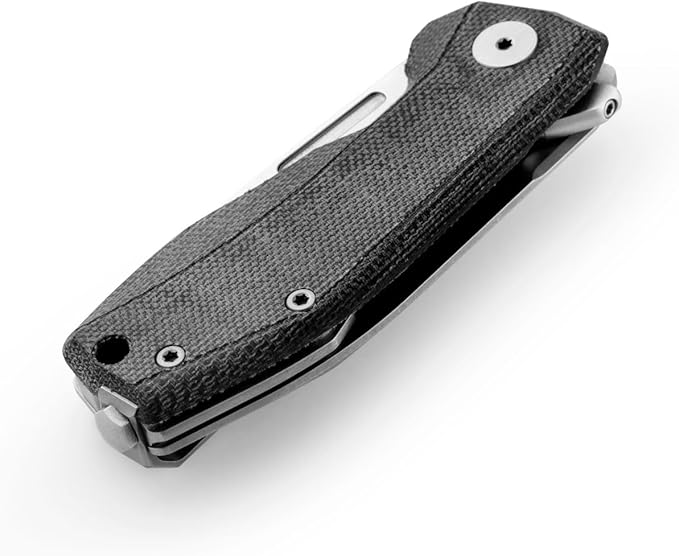 LionSTEEL NANO Titanium Frame Lock Folding Pocket Knife, Magnacut Steel Blade, Solid Handle Construction, Drop Point, Made in Italy (Black Micarta)