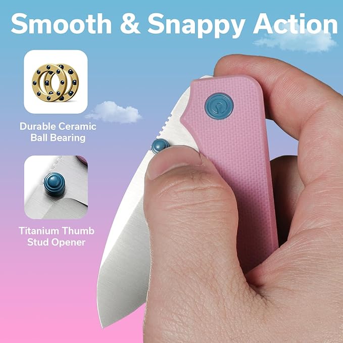 CIVIVI Small Pocket Knife for EDC, Ben Petersen Folding Knife Baby Banter with 2.34" Nitro-V Blade G10 Handle, Titanium Thumb Stud Opener C19068S-10