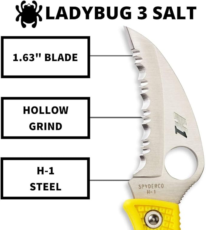 Spyderco Ladybug 3 Salt Lightweight Knife with 1.88" Corrosion Resistant H-1 Hawkbill Blade and Durable Hi-Viz Yellow FRN Handle - SpyderEdge - LYLS3HB
