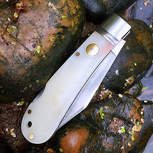 Watchman 1509N VG10 Blade Knife bone Grips Back Lock Pocket Knife …
