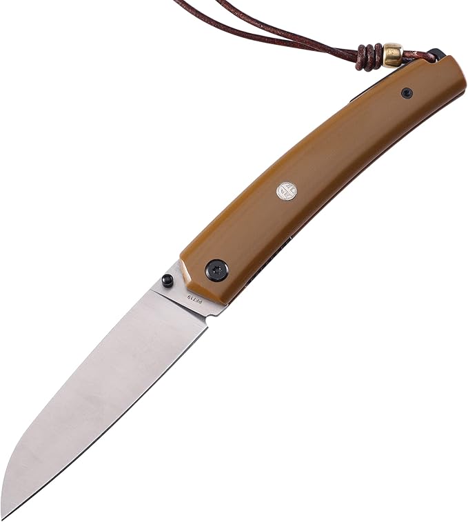 Petrified fish PF719 Folding Knife,3.34" 12C27N Steel Blade, G10 Handle Thumb Stud Liner lock Pocket knife (G10 Handle)