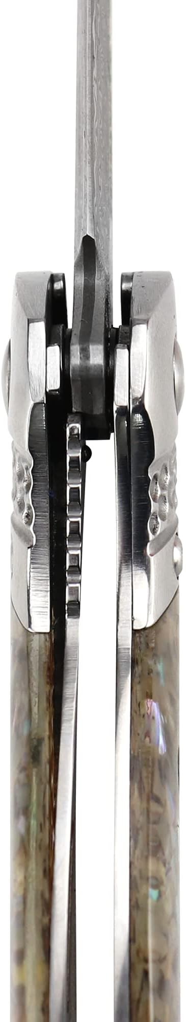 ALBATROSS HGDK028 EDC Sharp Mordern Damascus Folding Pocket Knife with Abalone shell Synthetic Material Handle,Ball Bearing Assisted Opening Knives with Liner Lock Tail rope，Gifts/Collections