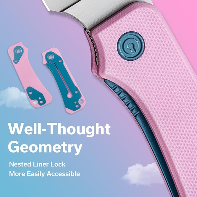 CIVIVI Small Pocket Knife for EDC, Ben Petersen Folding Knife Baby Banter with 2.34" Nitro-V Blade G10 Handle, Titanium Thumb Stud Opener C19068S-10