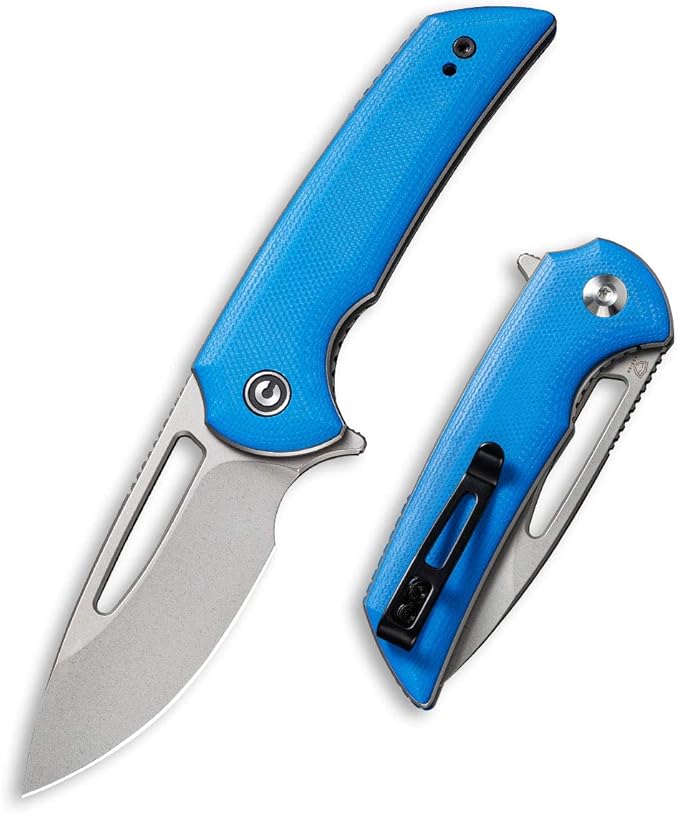 CIVIVI Odium Small Folding Knife –2.65" Stonewashed D2 blade, G10 Handle, Ball Bearings Pivot, Flipper Opening Knife with Reversible Deep Carry Clip C2010C (Blue)