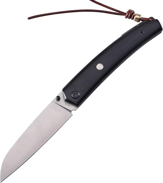 Petrified fish PF719 Folding Knife,3.34" 12C27N Steel Blade, G10 Handle Thumb Stud Liner lock Pocket knife (Satin Blade with G10 Handle)