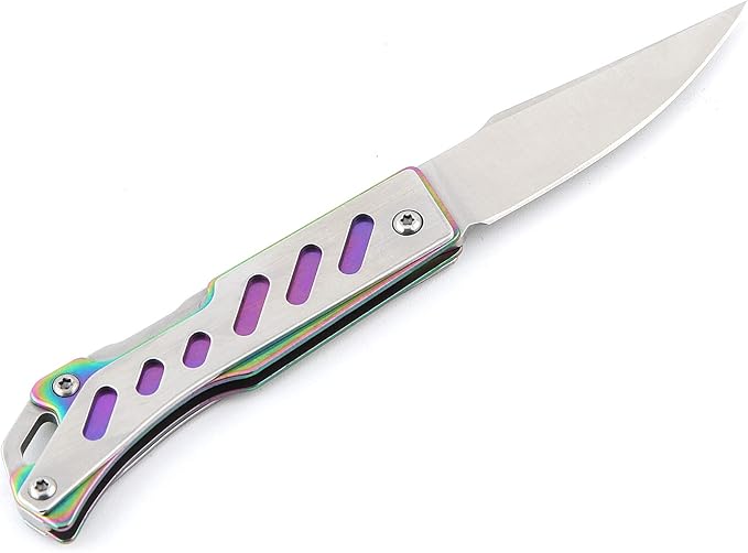 Sanrenmu 4058 Mini Steel Back Lock Folding Knife