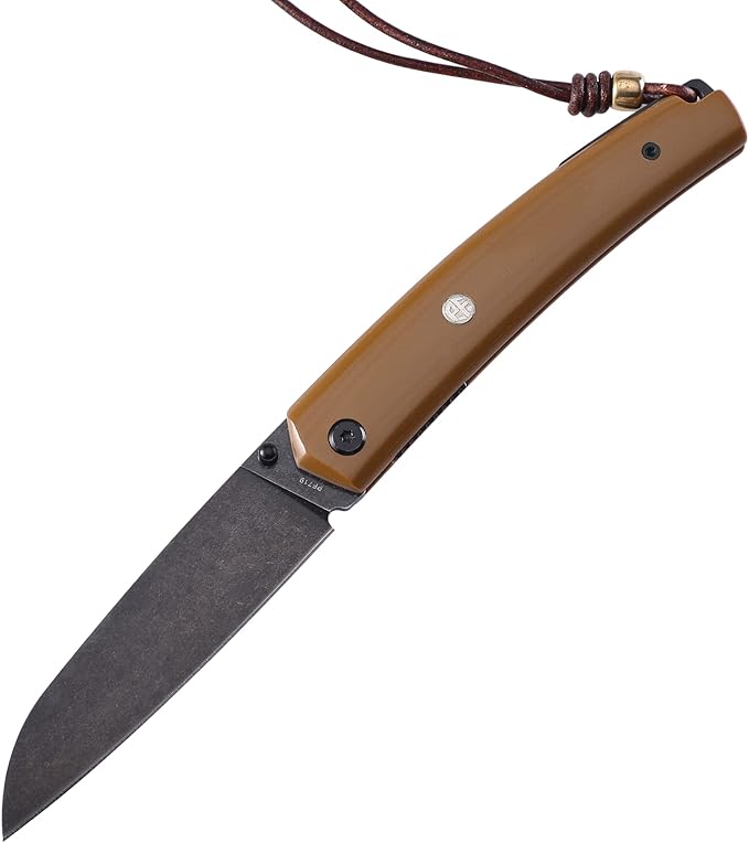 Petrified fish PF719 Folding Knife,3.34" 12C27N Steel Blade, G10 Handle Thumb Stud Liner lock Pocket knife (Black Stonewashed)